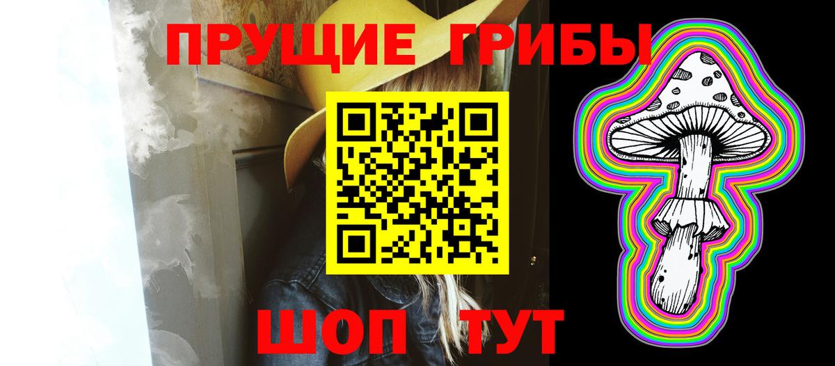 купить  сайты  Псилоцибиновые грибы Psilocybe  Вход с VPN  Отрадное 